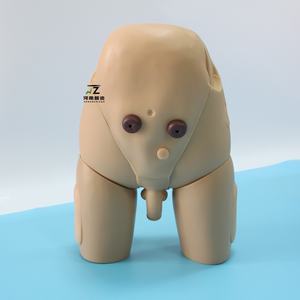 Modèle médical avancé de haute qualité pour la formation en soins infirmiers, avec parties génitales masculines, cathétérisme urétral et lavement, couleur chair - Product Image 1