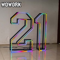 WOWORK Cadre lumineux LED néon détachable et pliable de 1,2 m, lettres et chiffres remplissables pour décoration de fête d'anniversaire et événements