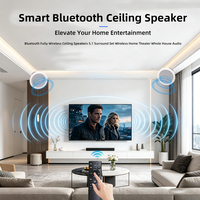 Haut-parleur de plafond IP PoE 30-60W avec éclairage LED RGB, contrôle vocal, DLNA/AirPlay pour système multiroom home cinéma