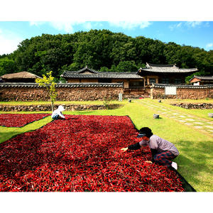 [Biggalchan 3kg] Piment fort YeongYang pour soupe de nouilles épicée, flocons de poivre naturel, assaisonnement rouge - Product Image 1