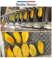 Automatische Hoge-Efficiëntie Mango Pitverwijderingsmachine 304 RVS CE ISO Gecertificeerde Fruitverwerkingsmachine