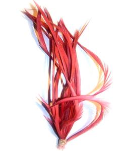 Comme plumes d'oie teintes, plumes d'oie rouges teintes à <span class=keywords><strong>vendre</strong></span> - Product Image 1