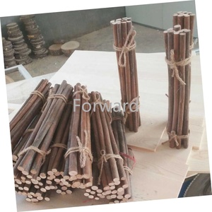 Legno di Paulownia a secco bastoncini rami per oggetti di scena per la fotografia di artigianato fai da te - Product Image 2
