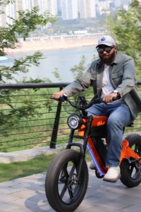 Vintage Long Range Bike 750w Brushless Motor 7-speed City Magnesium Frame Lithium Battery M1 with Lights Rear - Product Image 6