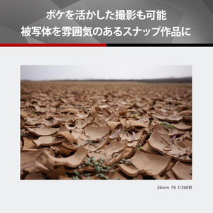 Lente Monofocal Panasonic S-R26 para Cámaras Réflex Digitales sin Espejo de Montura L, Lumix S 26mm F8 Negro - Product Image 5