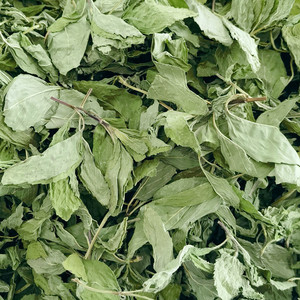 Feuilles de <span class=keywords><strong>menthe</strong></span> naturelles brutes en gros, en vrac, Bo <span class=keywords><strong>He</strong></span>, nouveau, 100% naturel, herbe à infuser, épice de haute qualité, support OEM - Product Image 3