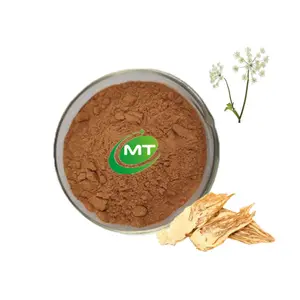 Factory Directly Supply Wholesale Chinese Herb Bulk 100% Natural Chinese Angelica Extrat Dong Quai Extract