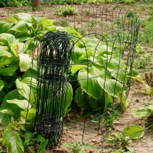 Roll Top PVC-Coated Wire Garden Lawn <b>Border</b> <b>Edging</b> Fencing Iron and Wood Frame with Trellis Fence Posts for Rail - Product Image 5