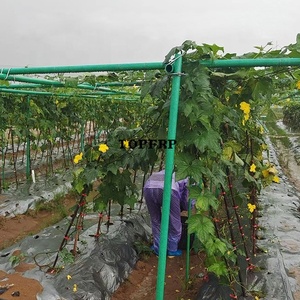 Horticultural Fiberglass Pipes, Fiberglass Agricultural Support <b>Poles</b>, Tree Support <b>Poles</b> - Product Image 5