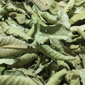 Hoja de Guayaba Seca de Alta Calidad de Vietnam, Ideal para Aplicaciones de Elaboración de Bebidas Aromáticas y Diversos Usos en la Preparación de Alimentos - Product Image 1