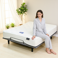 Leises Modernes Elektrisches Bett mit Fernbedienung |   Smooth Lift TV- und Arbeitsbett mit verstellbarem, klappbarem Untergestell für Schule, Hotel und Zuhause