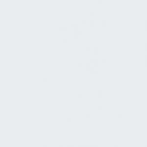 Ensemble élégant de 8 paniers muraux en rotin, bambou et jonc de mer, accents muraux élégants - Product Image 1