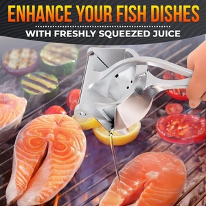 Presse-agrumes <span class=keywords><strong>manuel</strong></span> en aluminium, presse-fruits OEM ODM personnalisé, outils pour fruits et légumes antiadhésifs et compatibles lave-vaisselle - Product Image 2