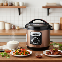 Cuisinière à pression électrique manuelle polyvalente en acier inoxydable BUBOK 6L pour usage domestique et commercial