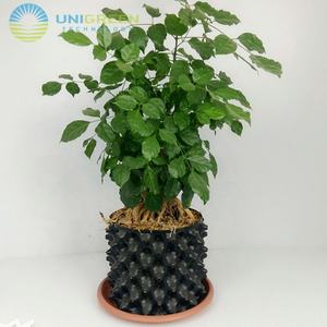 Vaso per potatura aria di alta qualità all'ingrosso contenitore per il controllo della radice contenitore per la crescita del vaso per la potatura - Product Image 1