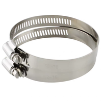 Collier de serrage à vis sans fin de qualité industrielle en acier inoxydable 304, plage de serrage réglable de 20 à 100 mm pour le fixation de conduites d'eau