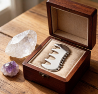 gros de disques de Gua Sha méridien en acier inoxydable Planches de Gua Sha en forme de peigne Masseurs de tête en métal