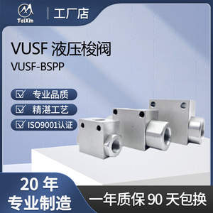 Válvula hidráulica de travesía TaiXin Vusf de 1/2 pulgada BSP, válvula de control direccional de dos vías para tubería de acero al carbono - Product Image 4