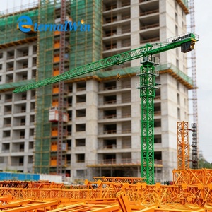 رافعة برجية صغيرة ذاتية التركيب QTZ10 بحمولة 1 طن وQTZ25 بحمولة 2 طن شائعة في البرازيل للبيع - Product Image 3