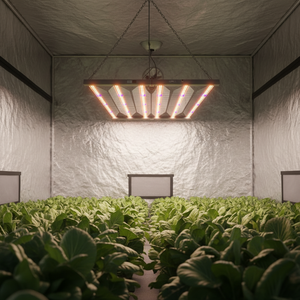 Barre de culture LED 720W pour intérieur, 1,8 m, serre intérieure, dimmable, Samsung, spectre complet rouge, conception en chaîne Daisy, pour plantes - Product Image 1