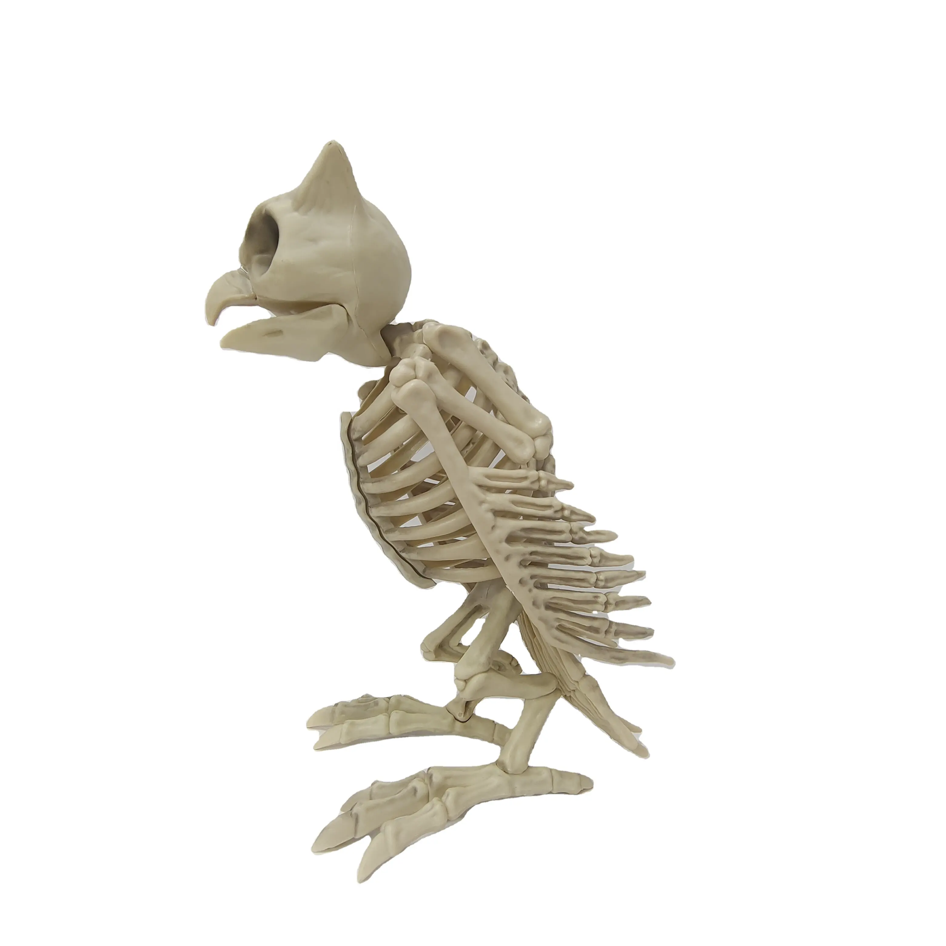 Crazy Bonez Esqueleto Coruja para Halloween Party Decor Realista Plástico Coruja Animal Bone Model