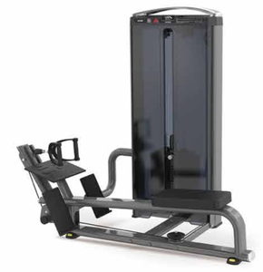 Máquina de Ejercicios Abdominales de la Serie Premium Mel-010 de Mbh Fitness Equipment, Shandong, China - Product Image 1