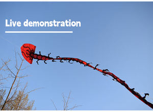 Cerf-volant 3D longue queue Easy <span class=keywords><strong>Flyer</strong></span> Cerfs-volants de plage Personnes Adultes Cadeau Usine chinoise Cerf-volant mille-pattes à vendre - Product Image 6