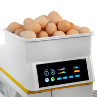 Machine à frire les œufs électrique entièrement automatique avec système de retrait des coquilles, grande capacité, pour hôtels