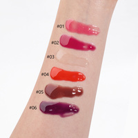 Gloss à lèvres multicolores en marque privée avec 6 couleurs vibrantes, sans cruauté, hydratant et brillant pour le soin des lèvres