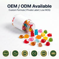 Gummies de fibres alimentaires, probiotiques et vitamines OEM DOM pour la santé, supplément à base de plantes, prébiotiques oraux pour la santé intestinale et un ventre plat – Direct Usine