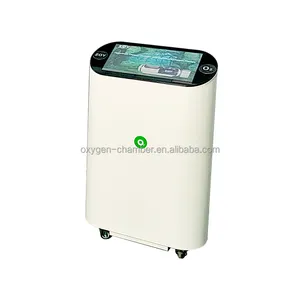 ZOY 1.3ata 가정 사용 10 리터 집중 장치 1.5 Ata 암 Hyperbaric 산소 약실을 위한 휴대용 제조자 Hbot
