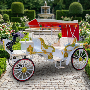 Carroza Eléctrica de Alta Calidad con Estructura de Acero Estilo Europeo para Bodas, Capacidad para 4-6 Personas, Precio Bajo, 2026 - Product Image 1