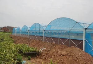 Achat Bâche UV Plastique <span class=keywords><strong>Pour</strong></span> <span class=keywords><strong>Serre</strong></span> Verticale Chaleur Plastique <span class=keywords><strong>200</strong></span> Micron Agriculture Couverture Tissu Philippines - Product Image 5