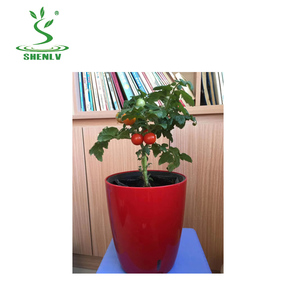 Haute Qualité Plasticas Auto Arrosage Pot Bonsaï Pot En Plastique Meilleur Sol Rond Pot De Fleurs - Product Image 3