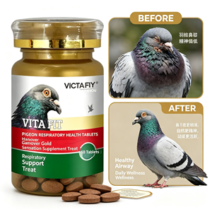 Catit Creamy Superfood Racing Pigeon : Médicament Respiratoire pour Pigeons, Hanover Sensation, Friandise pour Pigeons Respiratoires et Pigeons de Vol - Product Image 2