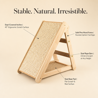 Griffoir pour chat en bois de pin avec sisal, inclinaison ergonomique à 45 degrés, barres d'escalade en corde, deux tailles, OEM