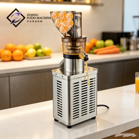 Automatische commerciële fruitpersmachine van roestvrij staal voor restaurants en catering
