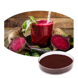 High Grade Beetroot Red Beet Root Extract Powder From China Factory