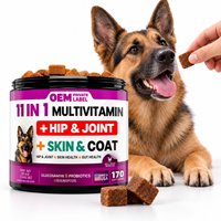 Complément Alimentaire Tout-en-Un pour Chiens : Multivitamines, Glucosamine, Probiotiques à Croquer pour la Mobilité, la Peau, le Pelage et le Soutien Digestif – Faible MOQ, Marque Privée