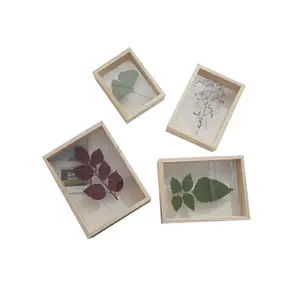 Acrylic glass photo frame decoration double-sided transparent plant specimen leaf clip DIY picture frame