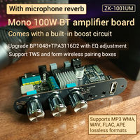 WUZERVON Microphone karaoké ZK-1001UM Reverb Mono 100W BT Amplifier Board TWS Outdoor Speaker TPA3116D2 Sound Music