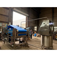Automatische bandfilterpers sapcentrifuge grootschalige fruit sap extractiemachine