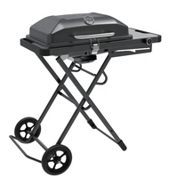 Nouvelle Arrivée Direct Usine OEM Barbecue de Camping Pliable et Portable d'Extérieur avec Roues, Gril à Gaz Démontable sur Roulettes avec Table