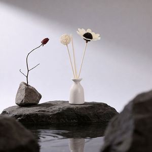 Difusor de Aroma en Botella de Cerámica con Varillas de Ratán, Fragancia de Gardenia, Sin Llama, Aroma Duradero para Interiores - Product Image 2