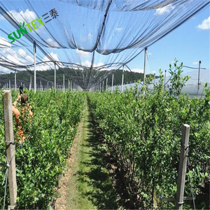 Vineyard Apple Tree Orchard bảo vệ PE <span class=keywords><strong>Leno</strong></span> dệt chống mưa đá lưới nhà kính HDPE nhựa mưa đá bảo vệ Net - Product Image 5