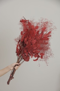 Flores de Cotinus Coggygria Scop Preservadas al por Mayor Moon Yu, Color Personalizado, para el Hogar, Año Nuevo - Product Image 2