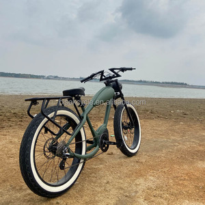 <span class=keywords><strong>2025</strong></span> Mới Tùy Chỉnh Điện Cổ Điển Khung Hợp Kim 36V 250W 120Km Phanh Đĩa Thủy Lực Hai Pin Lithium Xe Đạp Điện Fatbike - Product Image 4