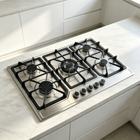 Kompor Gas Tanam 5 Tungku Stainless Steel untuk Rumah Tangga, Peralatan Dapur, Penghisap Asap