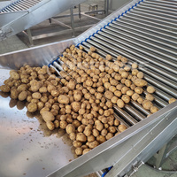 Gemotoriseerde Sorteermachine Voor Het Reinigen Van Fruitgroenten Voor Appelkersen Bosbessen Uien Aardappelen Dadels Andere Producten