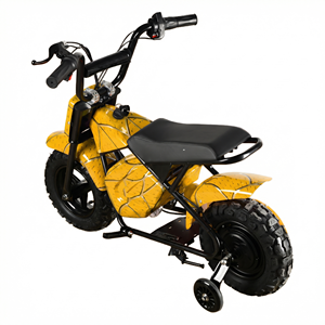 มอเตอร์ไซค์วิบากคุณภาพสูง MAXSPEED 250DH PRO สำหรับผู้เริ่มต้น 350W มอเตอร์ไร้แปรงถ่าน แบตเตอรี่ลิเธียม 36V มินิ ความเร็วต่ำกว่า 40 กม./ชม. มอเตอร์แบบแปรงถ่าน 35 - Product Image 5